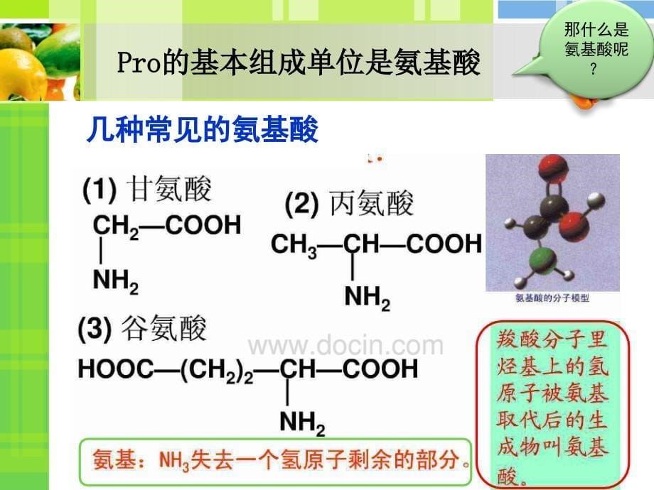 蛋白质和氨基酸的测定_第5页