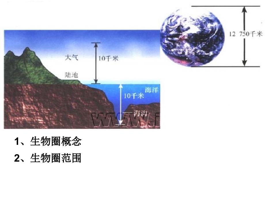 生物：第7章人类与环境复习课件(浙科版必修三)_第3页