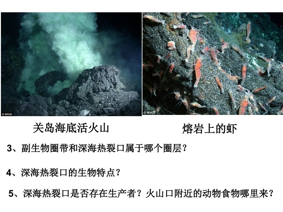 生物：第7章人类与环境复习课件(浙科版必修三)_第4页