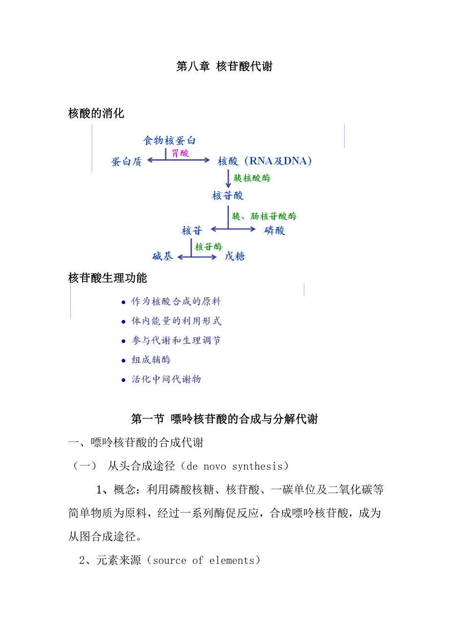 核苷酸代谢讲稿.doc_第1页