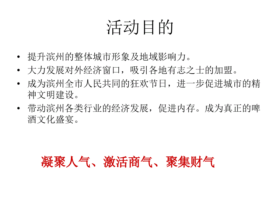 滨州啤酒嘉年华_第4页