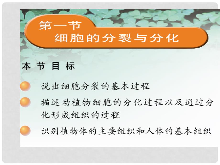 辽宁省灯塔市第二初级中学七年级生物上册 2.4.1 细胞分裂与分化课件 苏教版_第1页