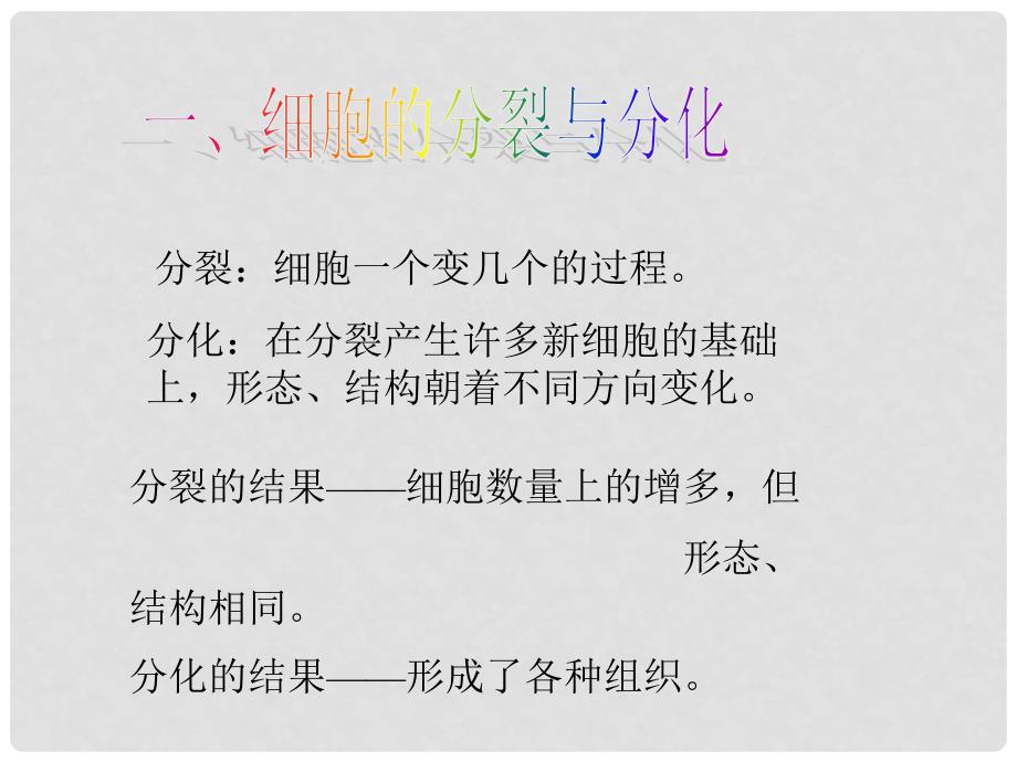 辽宁省灯塔市第二初级中学七年级生物上册 2.4.1 细胞分裂与分化课件 苏教版_第4页