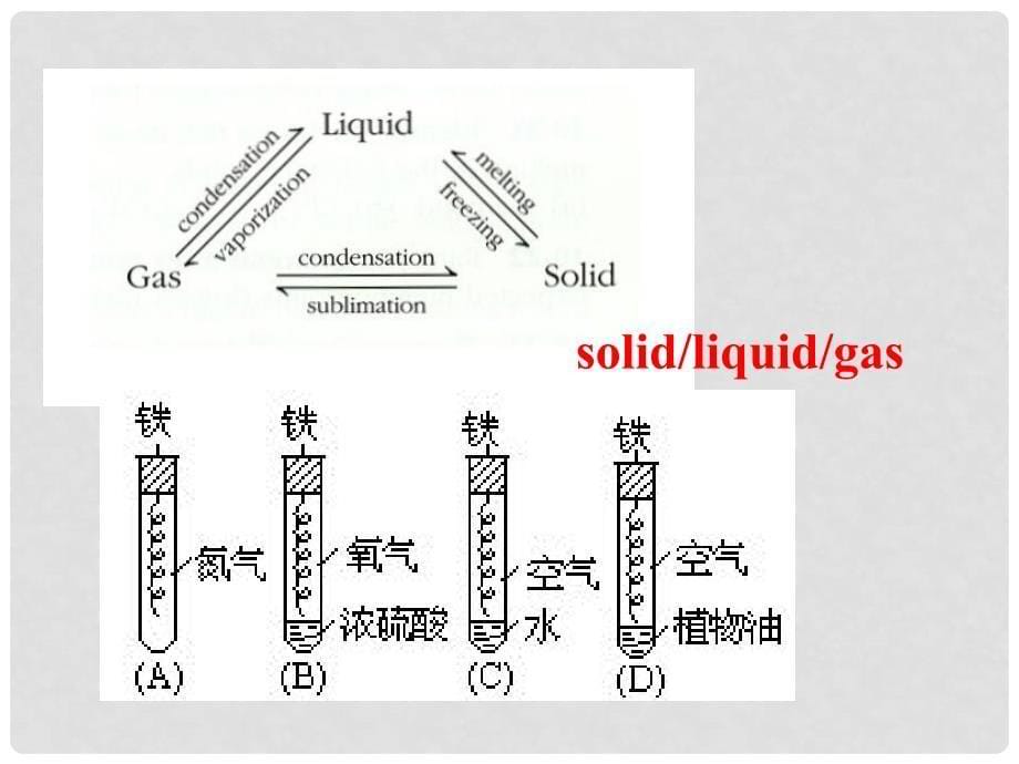 高中英语 Module 5 A Lesson in a Lab Introduction &amp; Listening课件 外研版必修1_第5页