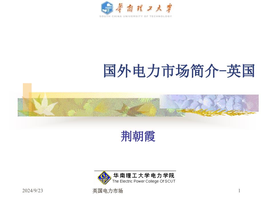 英国电力市场课件_第1页