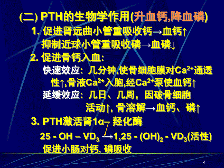 甲状旁腺与调节钙磷代谢的激素PPT参考幻灯片_第4页