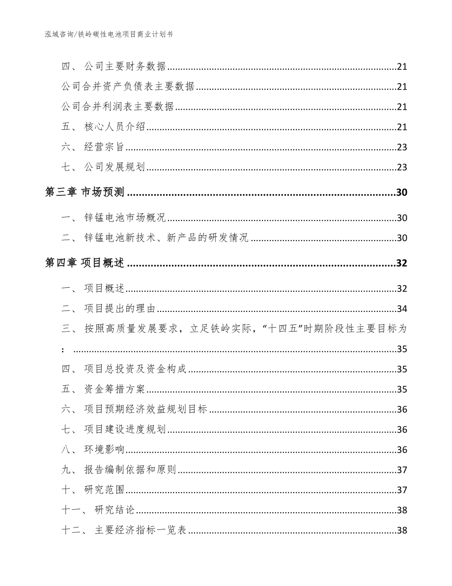 铁岭碳性电池项目商业计划书【范文】_第3页