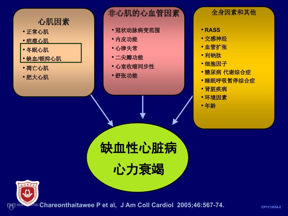 最新存活心肌的评价和临床意义温州医学院附属第一医院张怀勤PPT课件_第2页