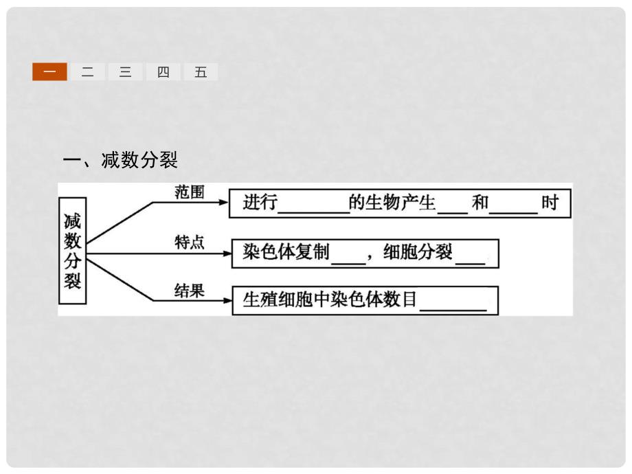 高中生物 第2章 基因和染色体的关系 2.1 减数分裂和受精作用课件 新人教版必修2_第4页