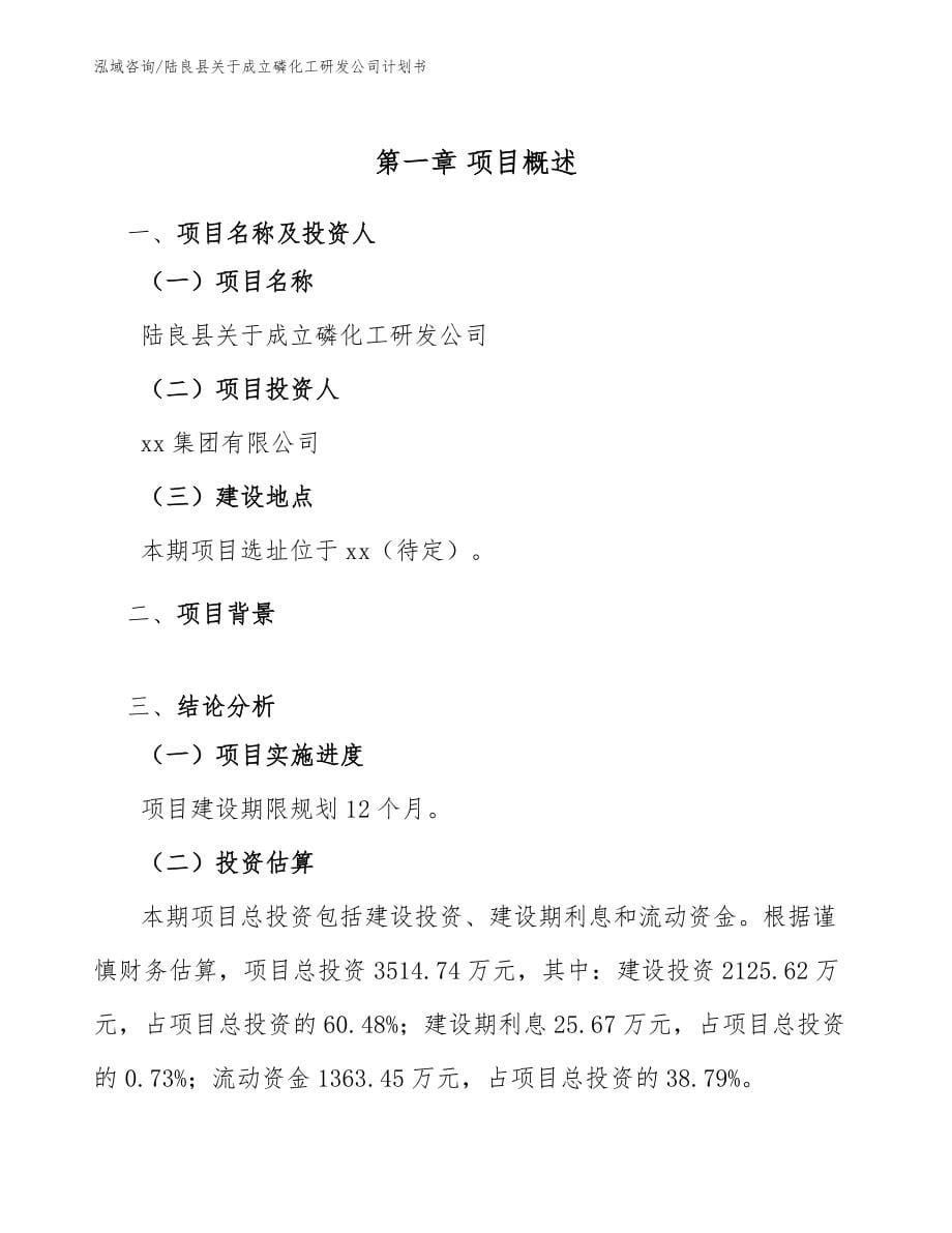 陆良县关于成立磷化工研发公司计划书范文参考_第5页
