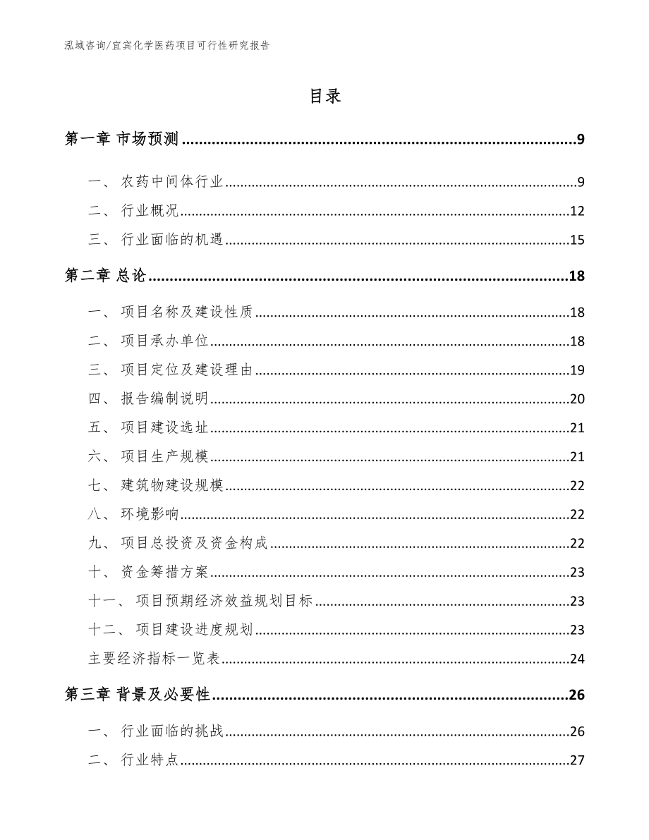 宜宾化学医药项目可行性研究报告_第2页