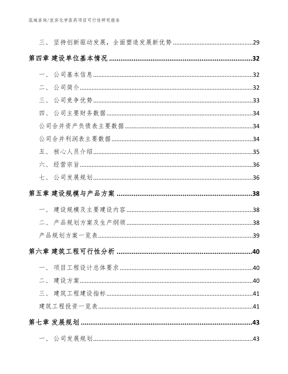 宜宾化学医药项目可行性研究报告_第3页