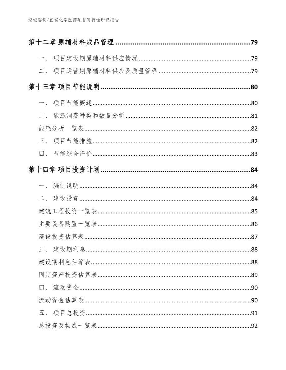 宜宾化学医药项目可行性研究报告_第5页