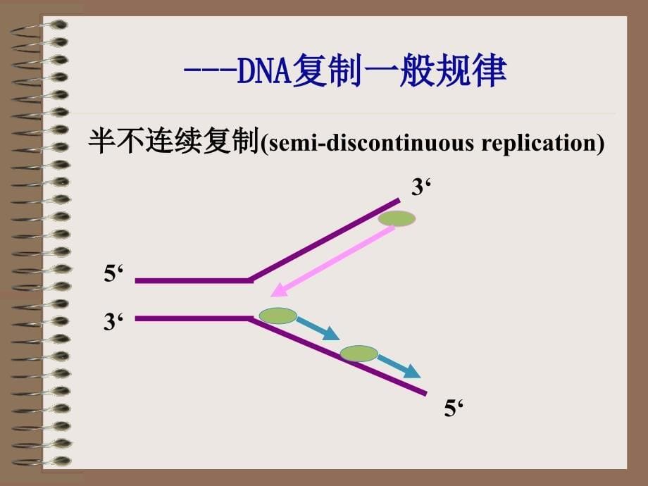 三章遗信息传递_第5页