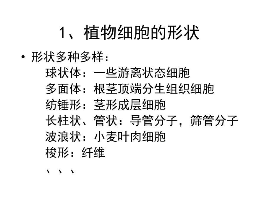 植物学教学课件：第一讲 植物细胞_第5页