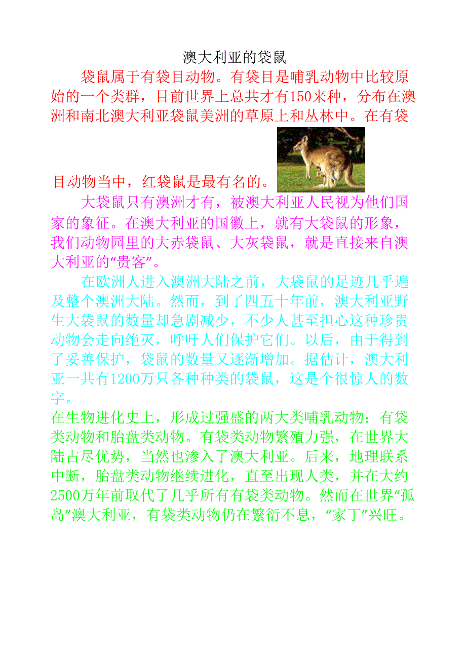 澳大利亚的袋鼠_第1页