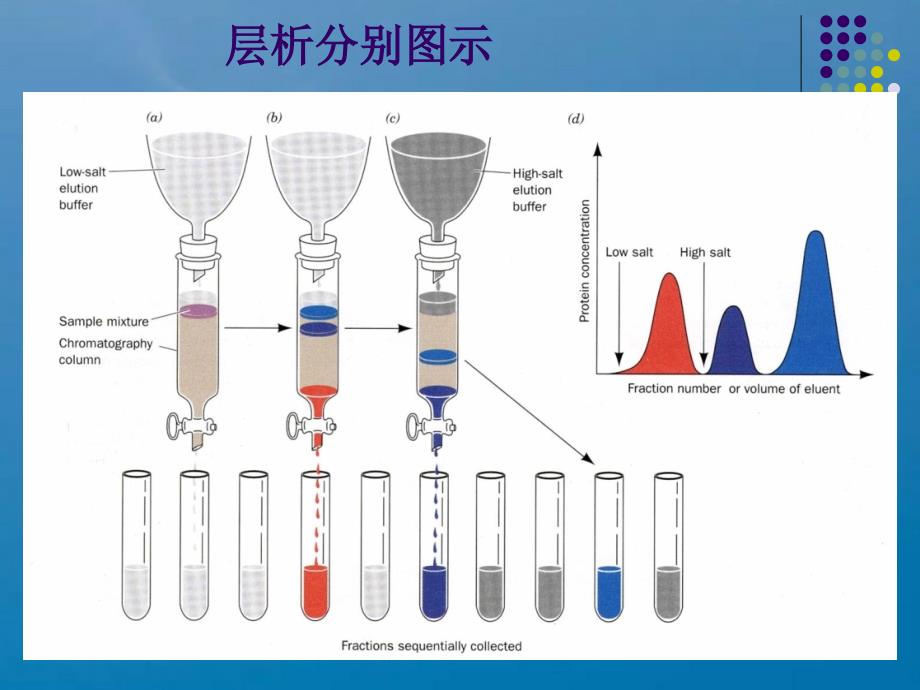 色层分离法ppt课件_第4页