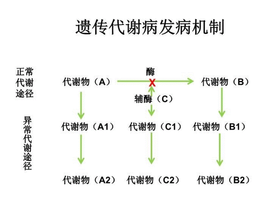 串联质谱-气相色谱质谱结果解读说课讲解_第4页