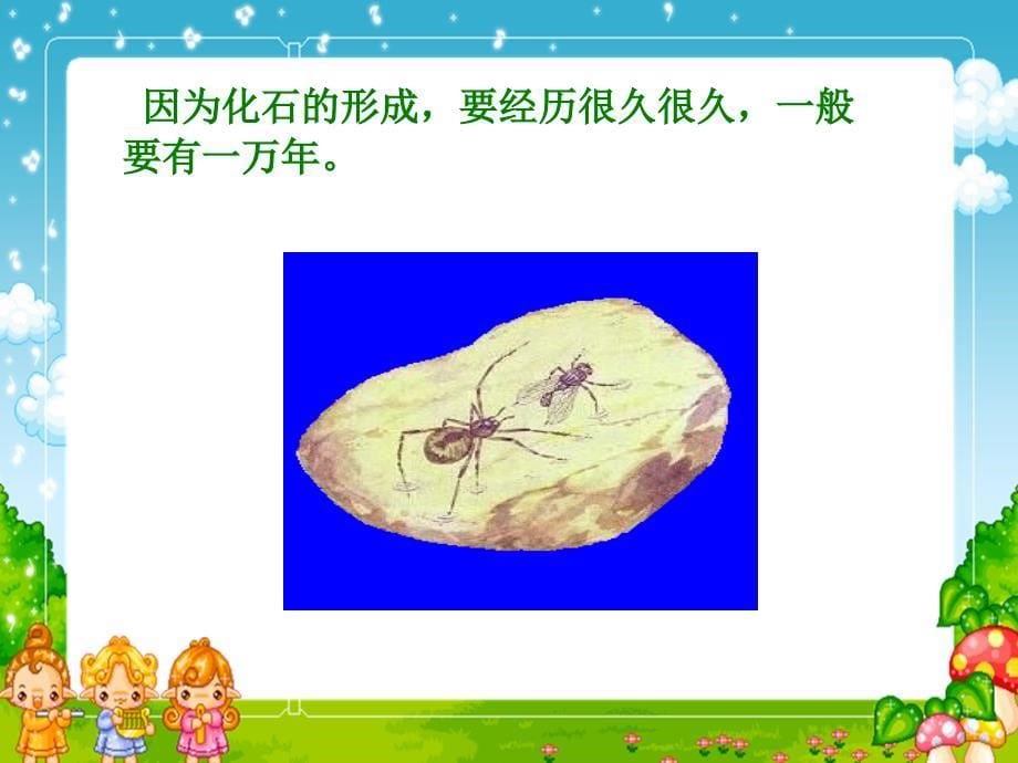 北师大版六年级语文下册课件琥珀1_第5页