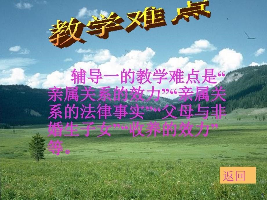 婚姻法学教案_第5页