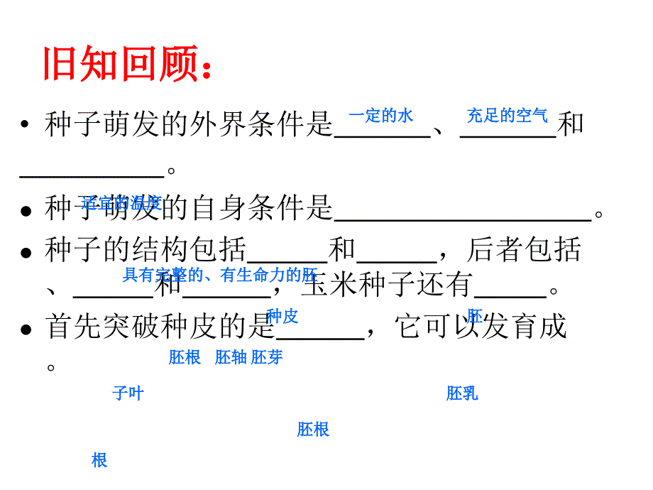 第二节植物根的生长、PPT课件_第3页