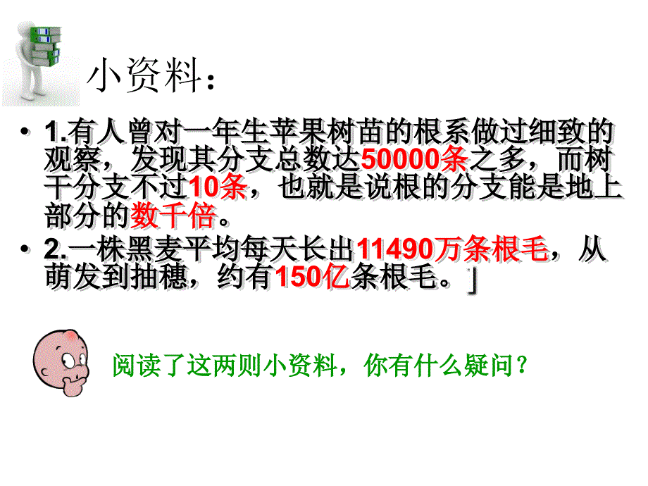 第二节植物根的生长、PPT课件_第4页