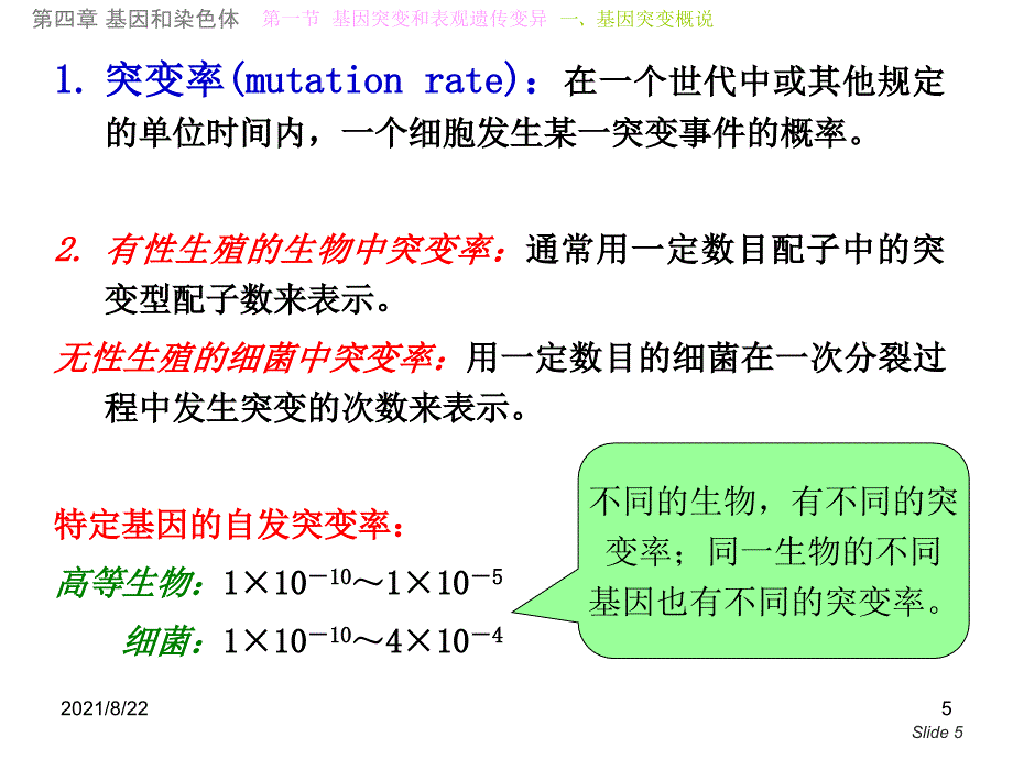 第04章基因和染色体推荐课件_第5页