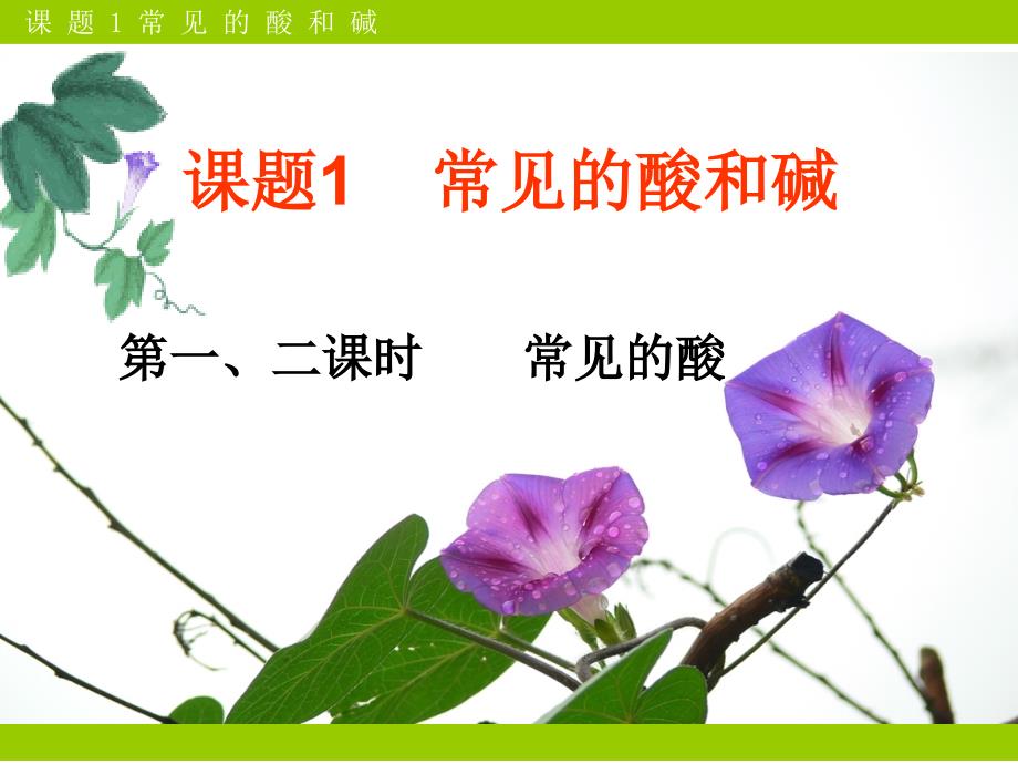 常见的酸和碱第二课时.ppt_第1页