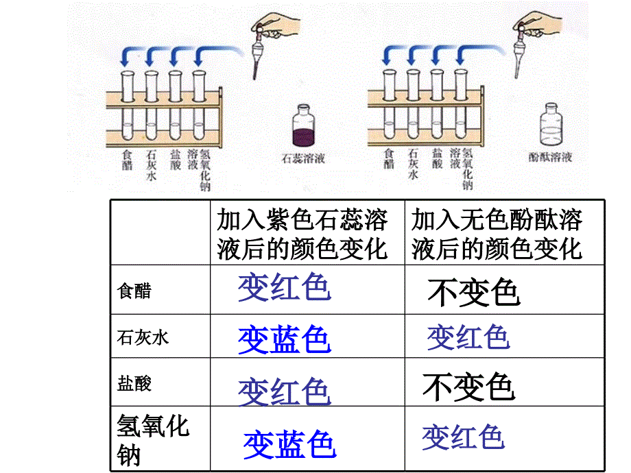 常见的酸和碱第二课时.ppt_第2页