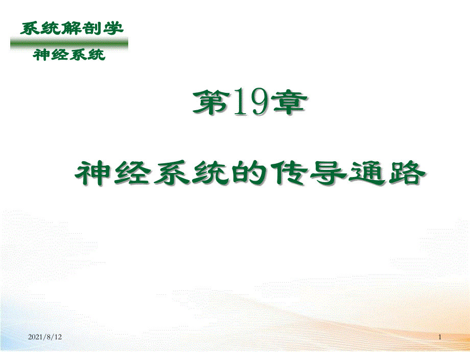 神经系统的传导通路讲座_第1页