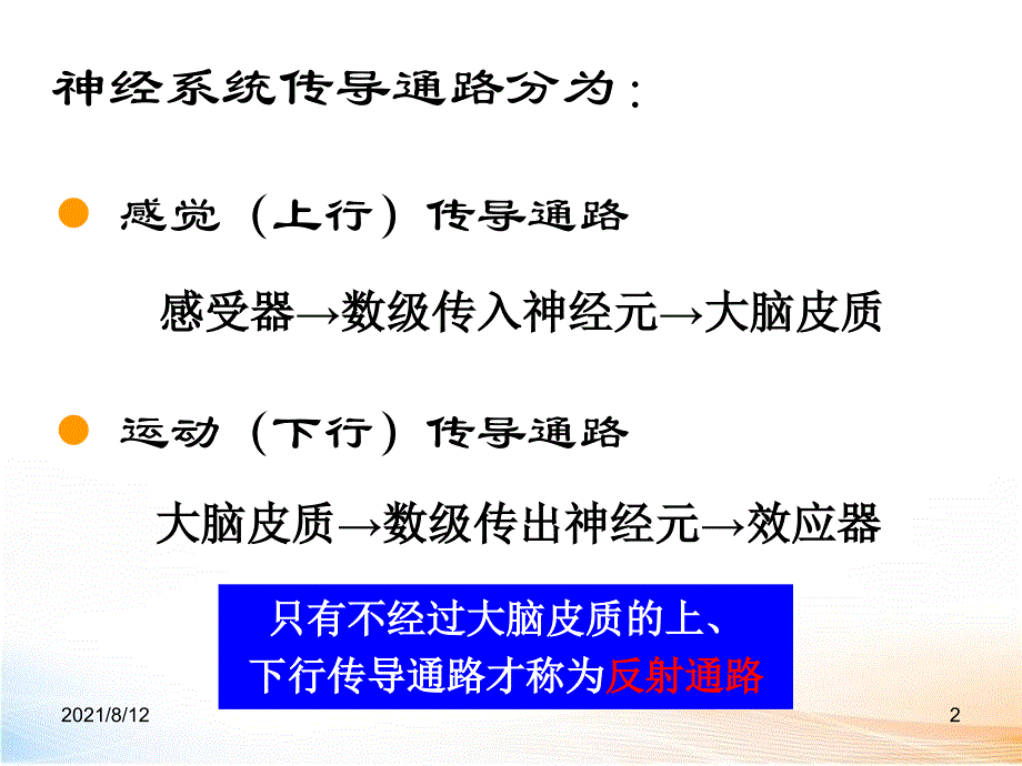 神经系统的传导通路讲座_第2页