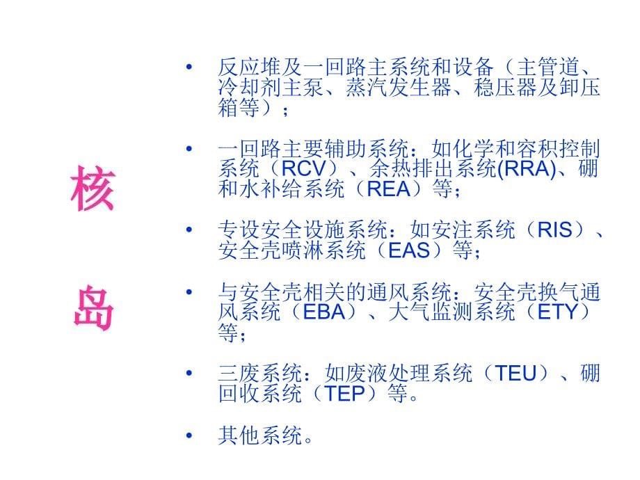 《900MW压水堆核电站系统与设备》运行教程320讲义-RCP推荐课件_第5页