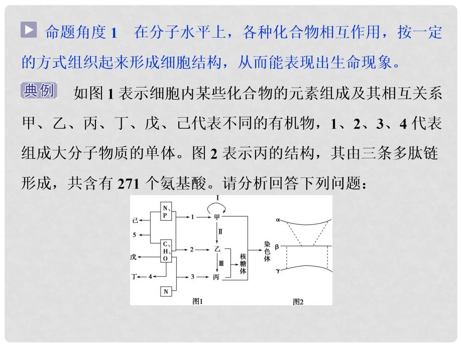 高考生物大一轮复习 第十一单元 高考素养培优 素养1 学科思想培优课件_第4页