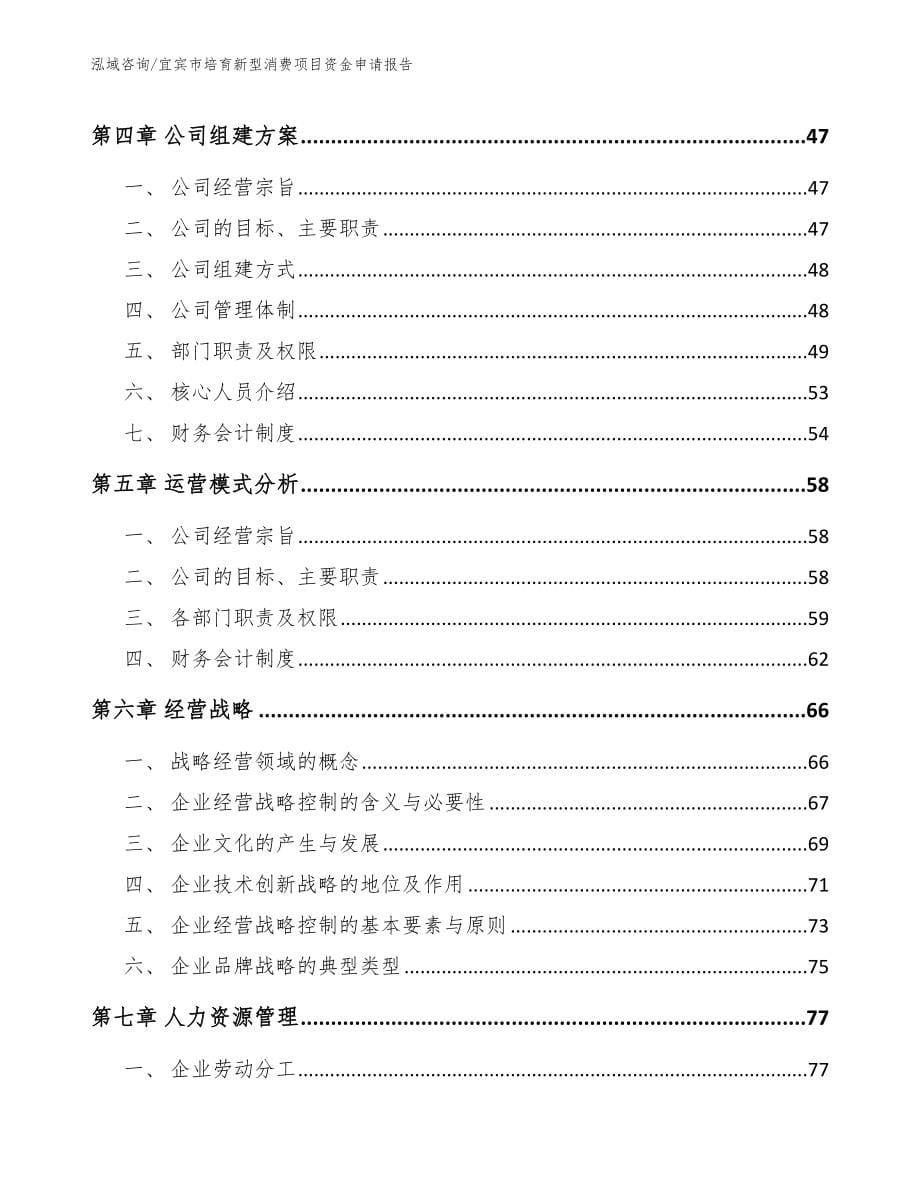 宜宾市培育新型消费项目资金申请报告【模板范本】_第5页