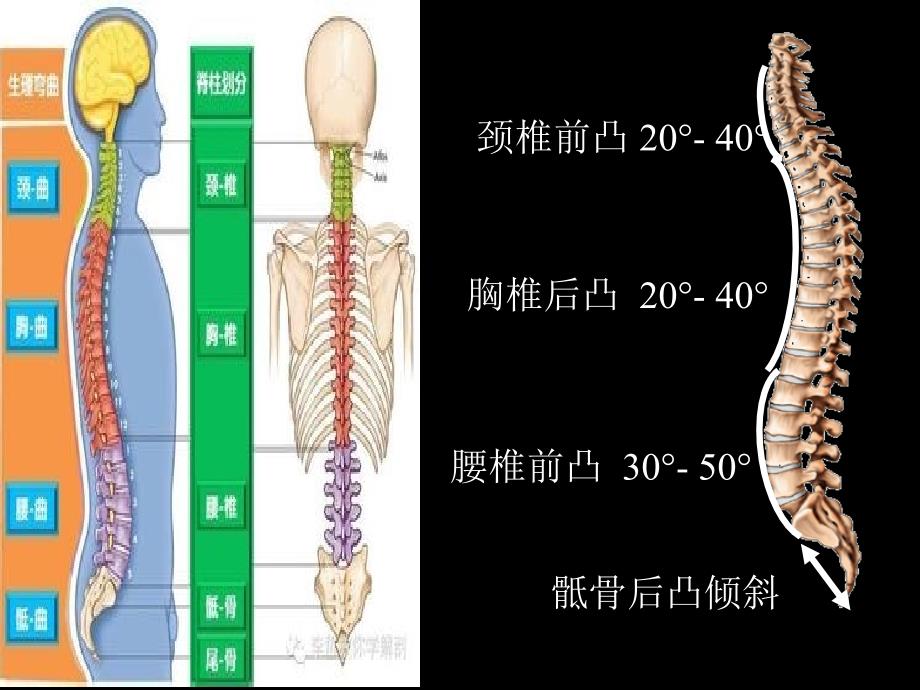 椎体成形术课件.ppt_第3页