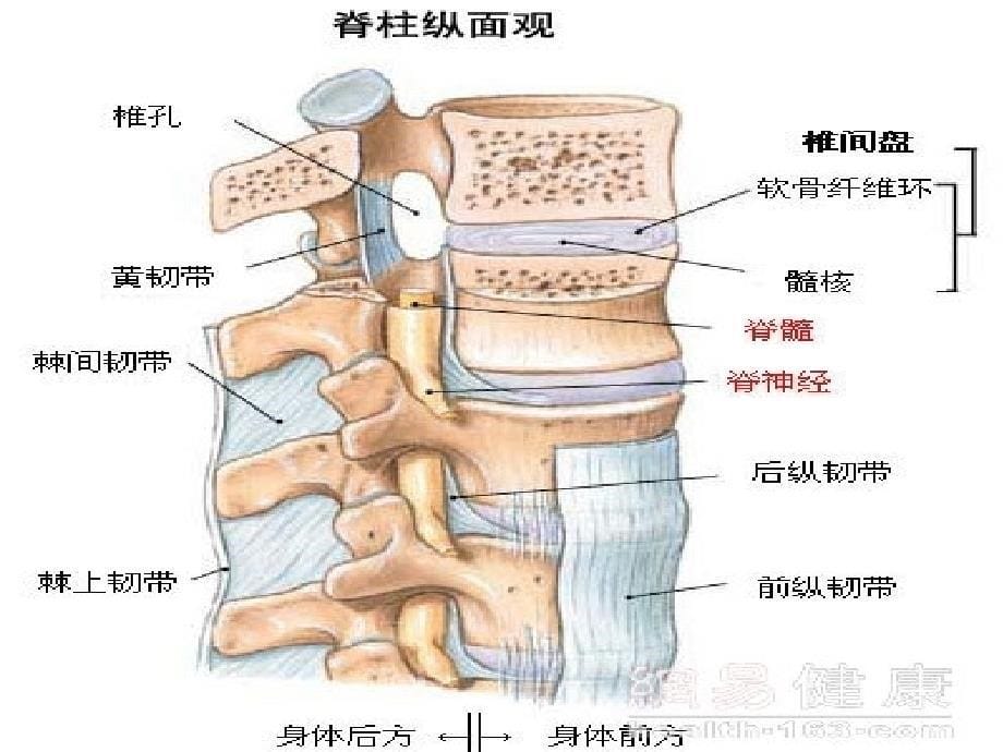 椎体成形术课件.ppt_第5页