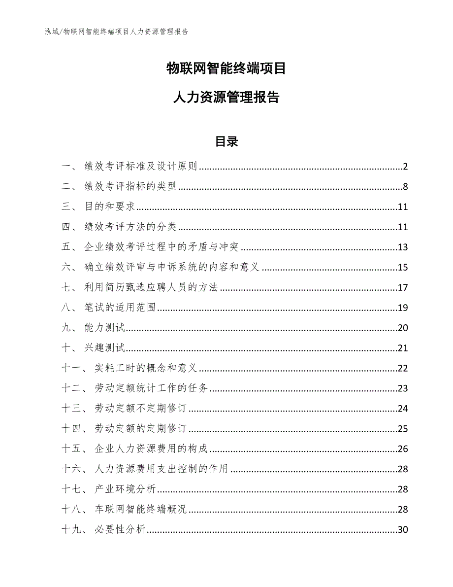 物联网智能终端项目人力资源管理报告【范文】_第1页