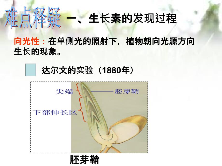 高三生物一轮复习生长素的发现和作用1_第4页