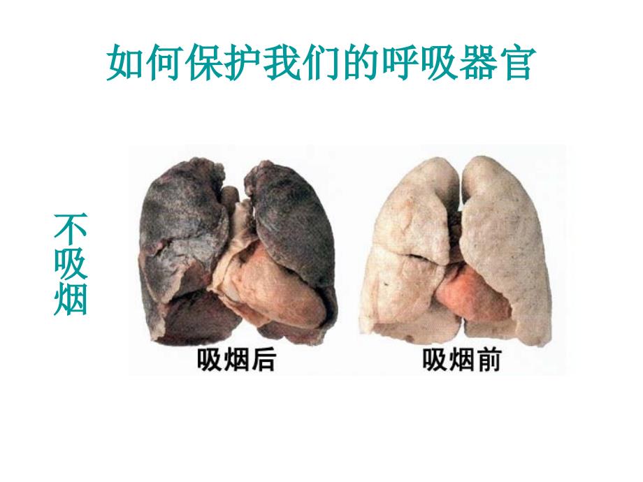 青岛版小学科学五年级下册2我们的呼吸精品课件_第4页