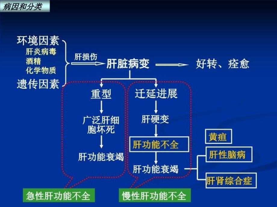 最新十五章消化系统的病理生理学幻灯片_第4页