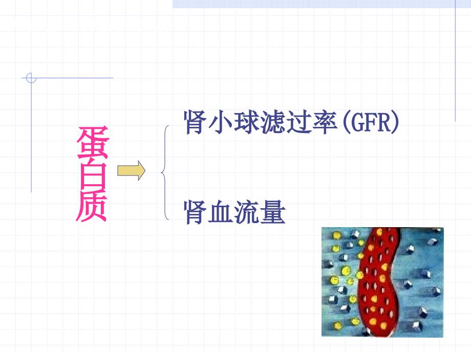 临床营养学肾脏疾病营养_第4页