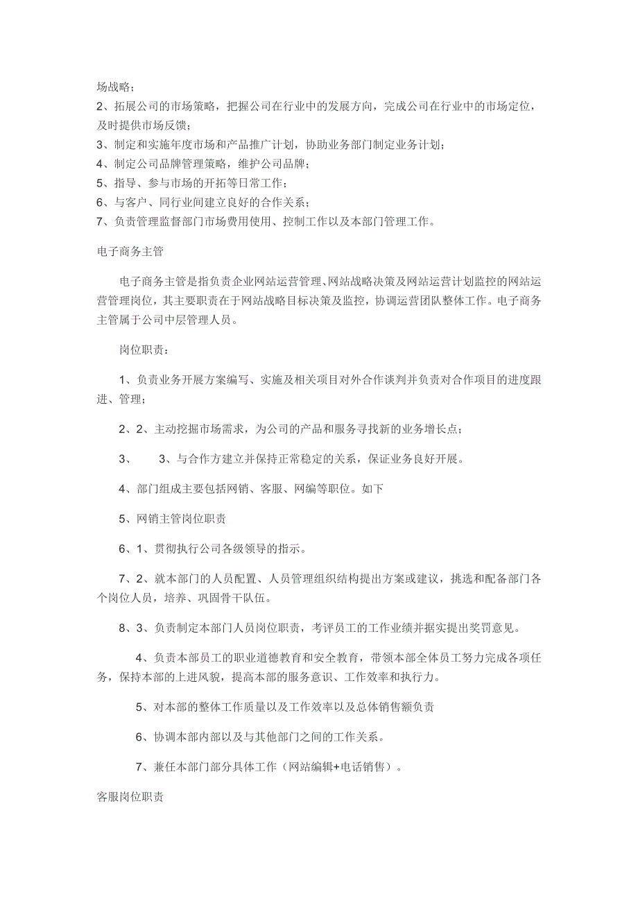 电商总监岗位职责资料_第2页