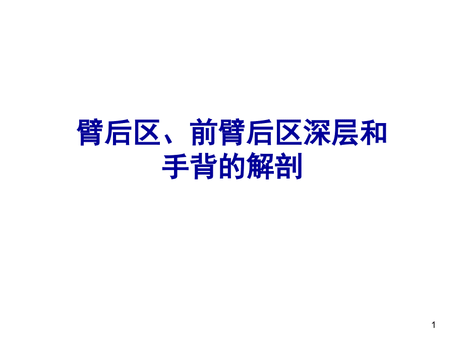 臂后区前臂后区深层和手背解剖_第1页