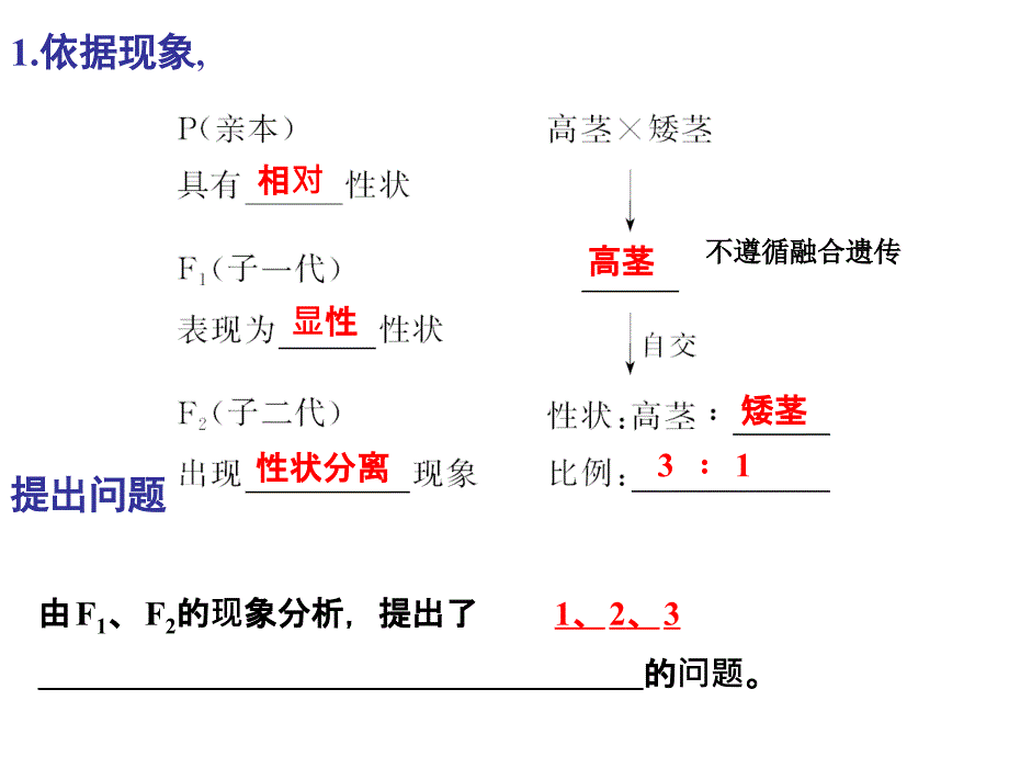 分离定律一轮复习ppt课件_第3页