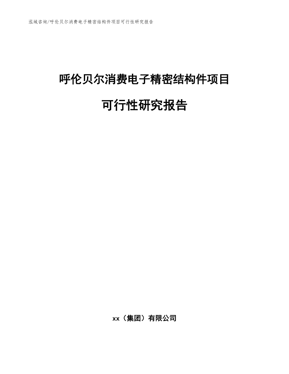 呼伦贝尔消费电子精密结构件项目可行性研究报告范文参考_第1页