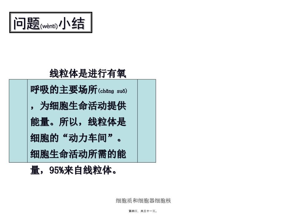 细胞质和细胞器细胞核课件_第4页