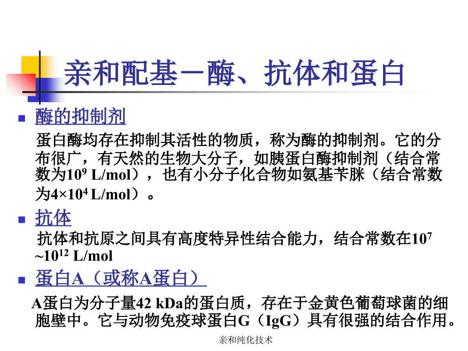 亲和纯化技术课件_第4页