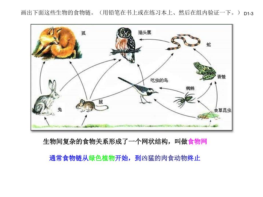 有趣的食物链_第4页