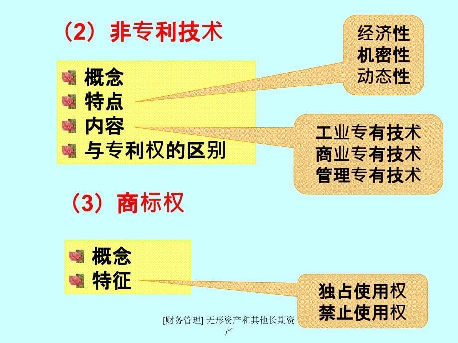 财务管理无形资产和其他长期资产课件_第5页