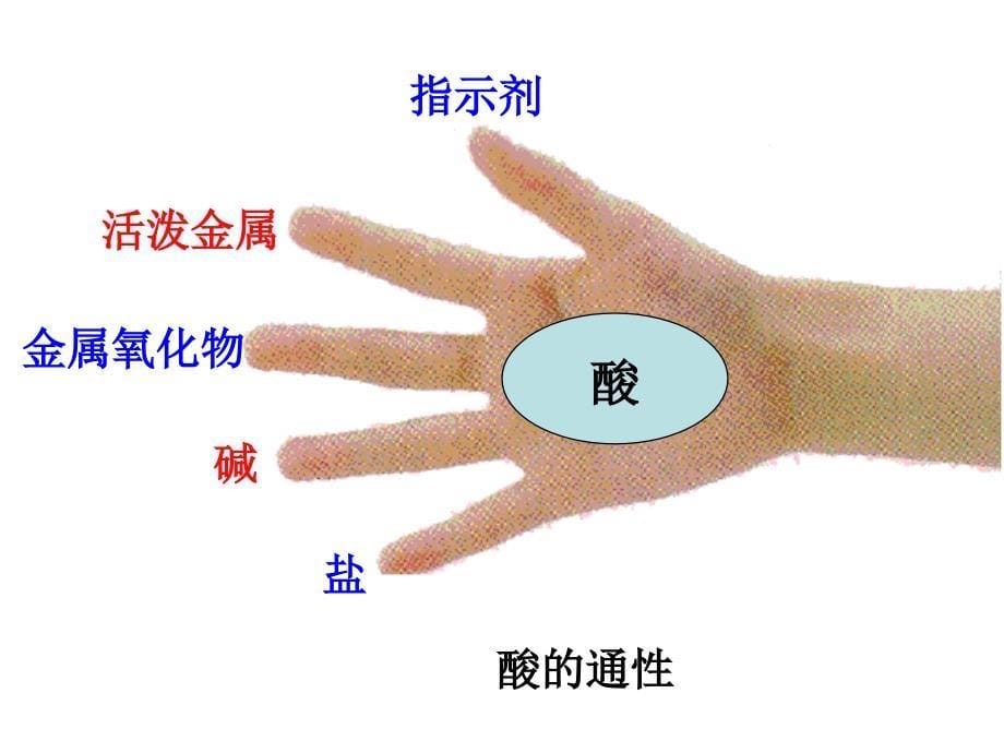 科学酸碱盐复习课件上课用_第5页